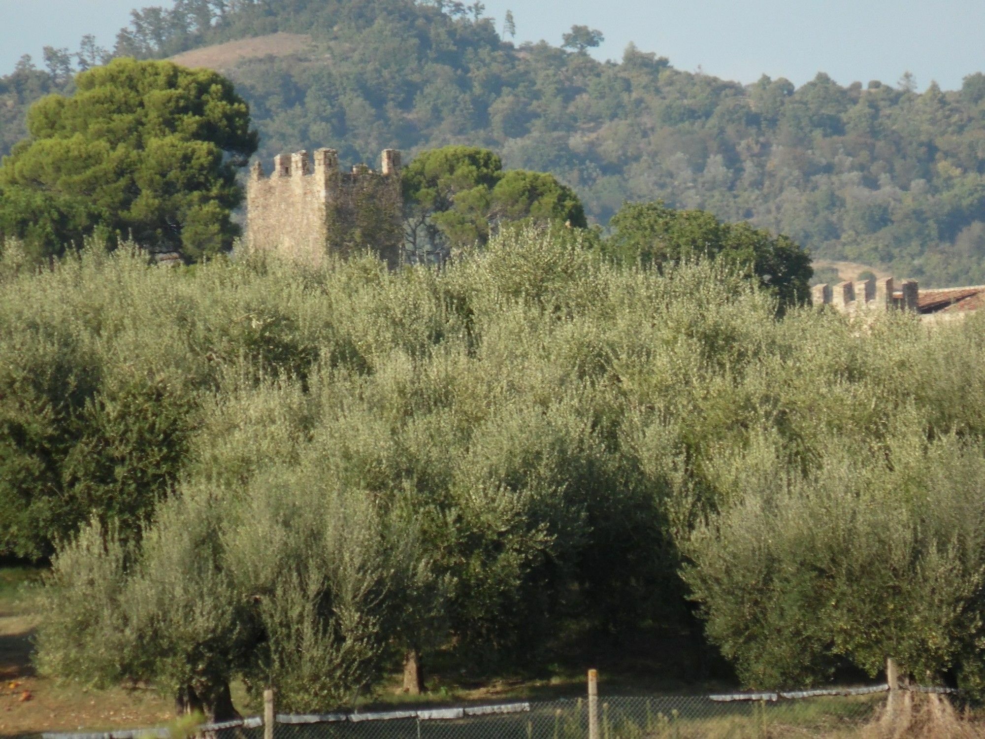 Podere Caldaruccio La Pineta Perúgia Exterior foto